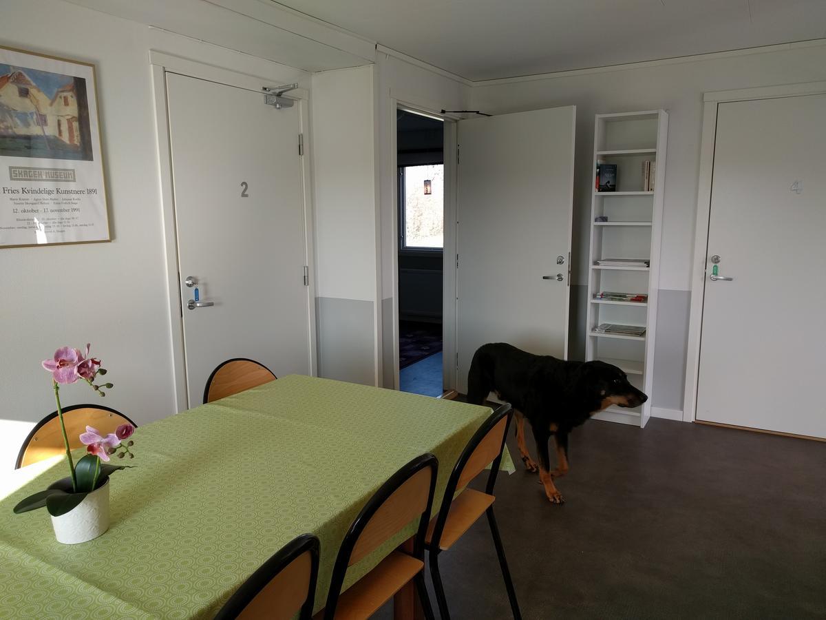 Olserods Hundcenter & Vandrarhem Degeberga Экстерьер фото
